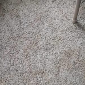 Meet your Posher, Benjamin